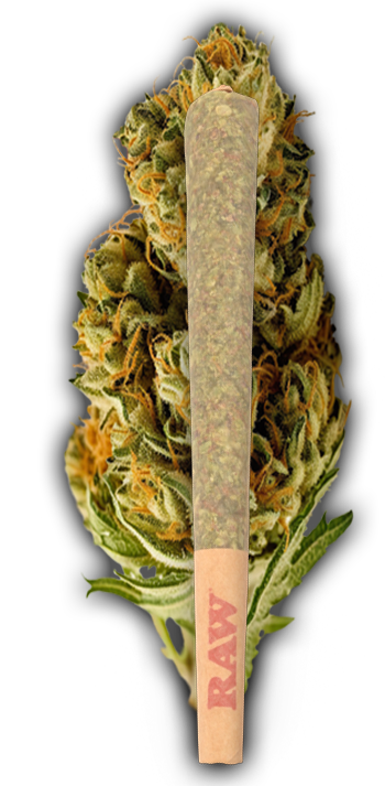 cannabis port credit